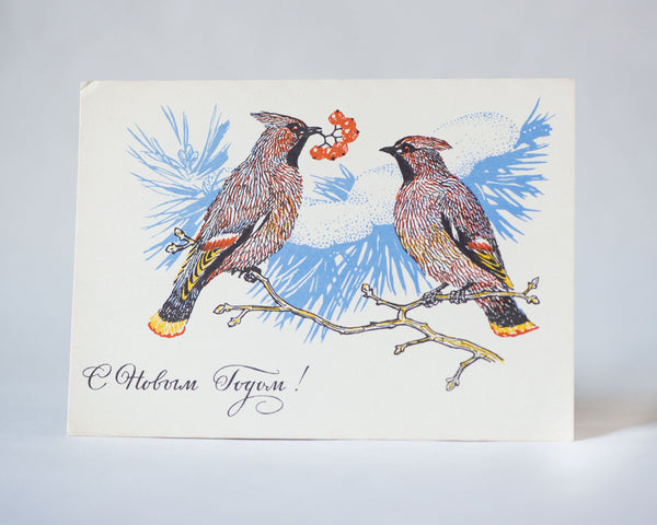 Waxwings New Year's greetings postcard vintage 1969, winter postcard blank, Bohemian Waxwings rowan berries, blank card birds Christmas