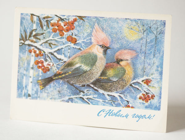 Vintage winter postcard, waxwings New Year's card blank, Bohemian Waxwings rowan berries, blank card birds Christmas