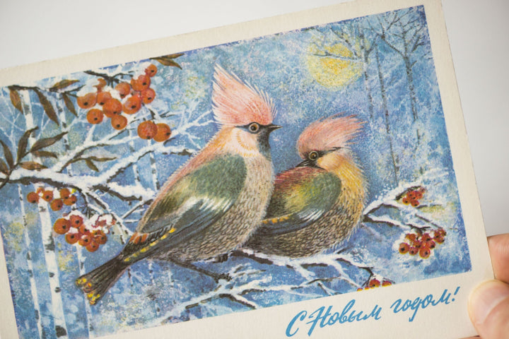 Vintage winter postcard, waxwings New Year's card blank, Bohemian Waxwings rowan berries, blank card birds Christmas