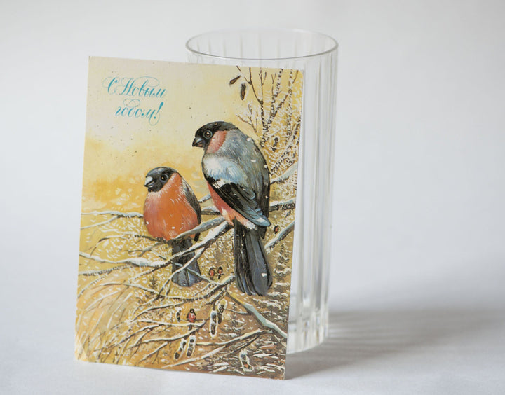 Couple of bullfinch birds postcard, romantic winter postcard Russian, New Year's greetings in Russian blank postcard, Xmas gift postcard