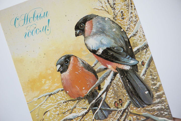 Couple of bullfinch birds postcard, romantic winter postcard Russian, New Year's greetings in Russian blank postcard, Xmas gift postcard