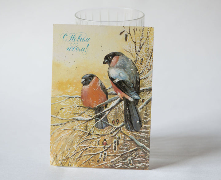 Couple of bullfinch birds postcard, romantic winter postcard Russian, New Year's greetings in Russian blank postcard, Xmas gift postcard