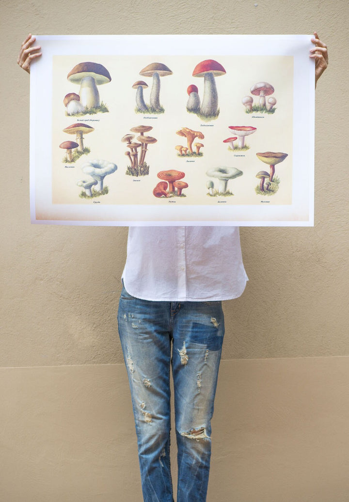 Vintage style mushrooms poster, Russian edible wild mushrooms, wild mushrooms print, botanical wall art, print 4 sizes, old skool print