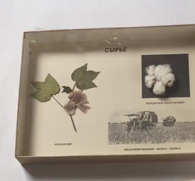 Cotton harvest wall hanging, birth of cotton products raw materials examples vintage. Textile schools educational. 1980s authentic box craft